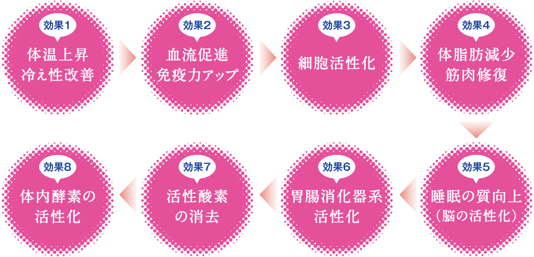 成長ホルモンによる若返り効果